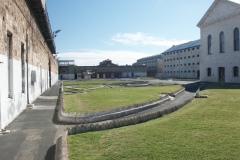 DCF 1.0