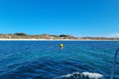 20250407_145911
