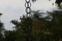 IMG_8274