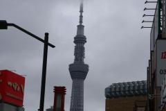 IMG_8002