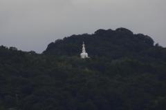 IMG_8408
