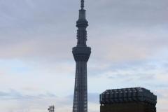 IMG_8138