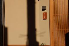 IMG_8518