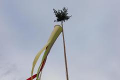 IMG_8971