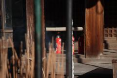 IMG_9197