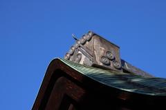 IMG_8537