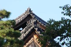 IMG_8555