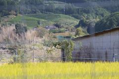 IMG_8708