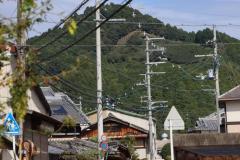 IMG_8716