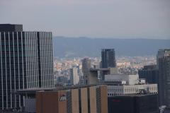 IMG_9556