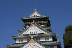 IMG_9391