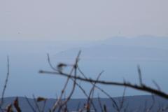 IMG_0206