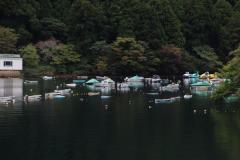 IMG_9715