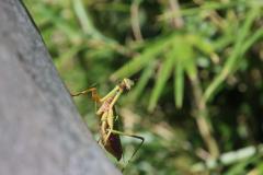 IMG_0173