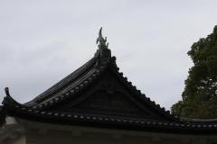 IMG_0465