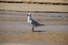 IMG_2177
