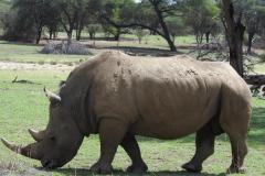 DSCN2426
