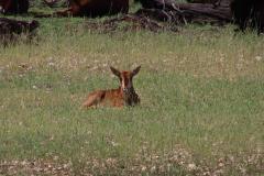 IMG_0345