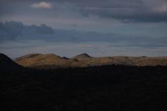IMG_0509