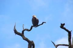 IMG_1431