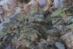 IMG_1471