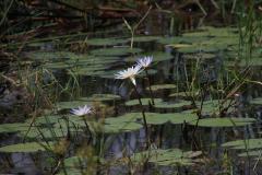 IMG_1505