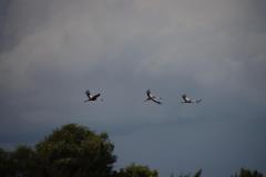 IMG_1680