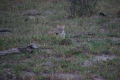 IMG_2351