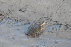 1_DSCN2843