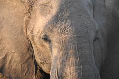 1_DSCN2849