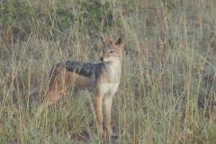 1_DSCN2867
