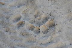 1_DSCN2937