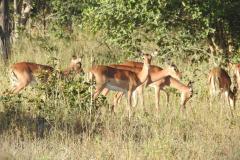 1_DSCN2944