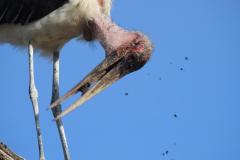 1_DSCN2955