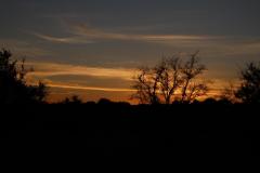 IMG_3700