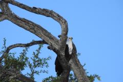 DSCN3178