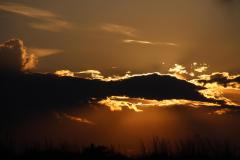 IMG_4331