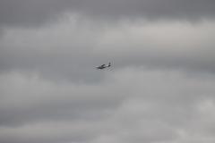 IMG_4921