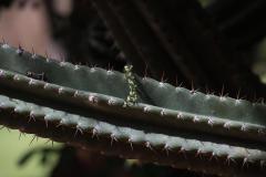 IMG_5596