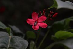 IMG_5644