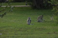 IMG_5680