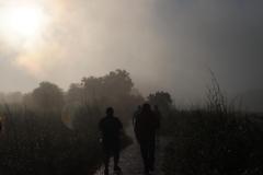 IMG_5412