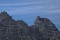 IMG_5851