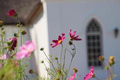IMG_6117