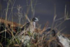 IMG_5613