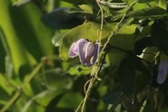 IMG_5719