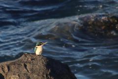 IMG_5748