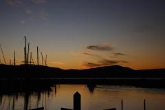 IMG_5910