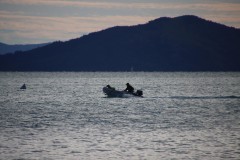 IMG_6131c
