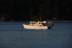 IMG_6184